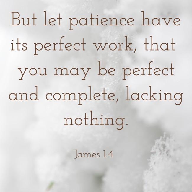  But let patience have its perfect work, that you may be perfect and complete, lacking nothing.   - James 1:4 