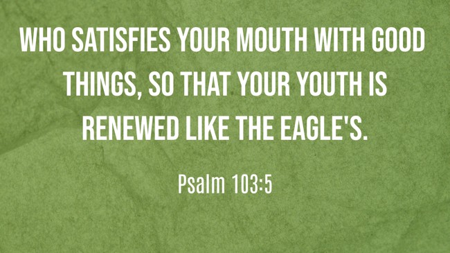 Who satisfies your mouth with good things, so that your youth is renewed like the eagle's. - Psalm 103:5
