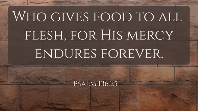 Who gives food to all flesh, for His mercy endures forever. - Psalm 136:25