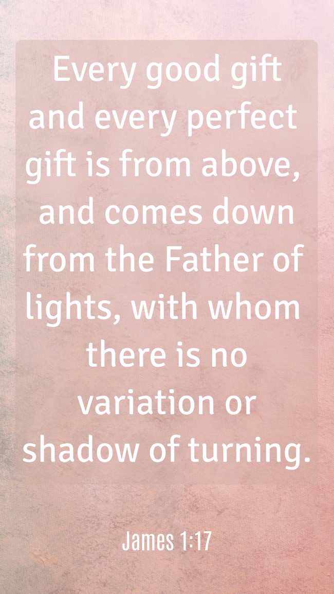 Every good gift and every perfect gift is from above, and comes down from the Father of lights, with whom there is no variation or shadow of turning. - James 1:17