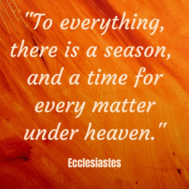  To everything, there is a season, and a time for every matter under heaven.   - Ecclesiastes 