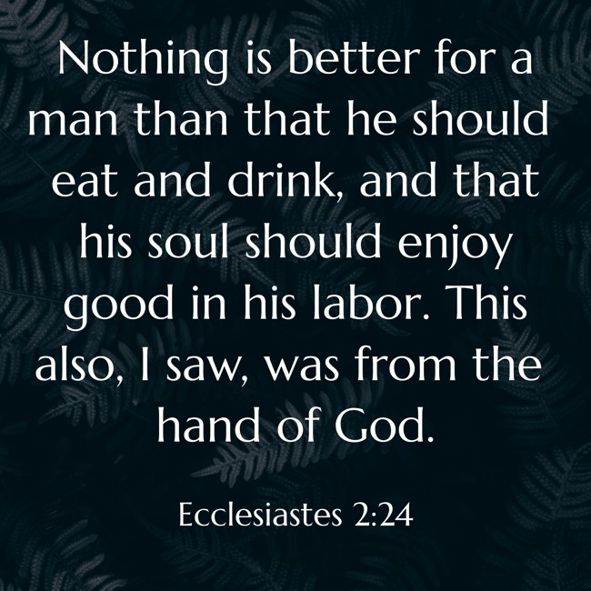 Nothing is better for a man than that he should eat and drink, and that his soul should enjoy good in his labor. This also, I saw, was from the hand of God. - Ecclesiastes 2:24