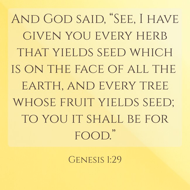 And God said, “See, I have given you every herb that yields seed which is on the face of all the earth, and every tree whose fruit yields seed; to you it shall be for food.” - Genesis 1:29