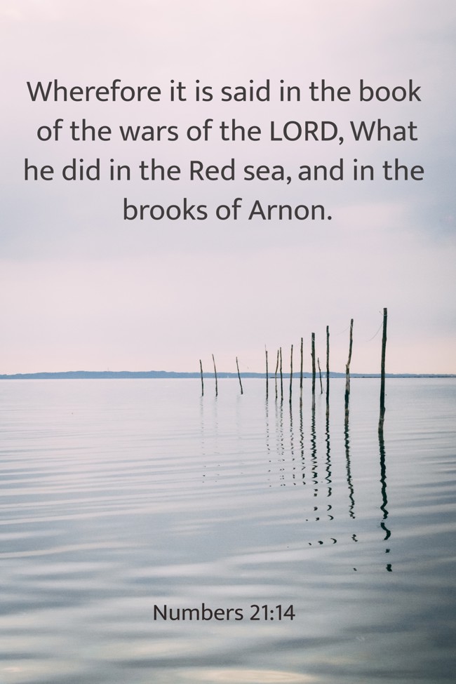 Wherefore it is said in the book of the wars of the LORD, What he did in the Red sea, and in the brooks of Arnon. - Numbers 21:14