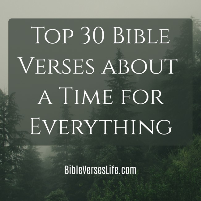 Top 30 Bible Verses about a Time for Everything