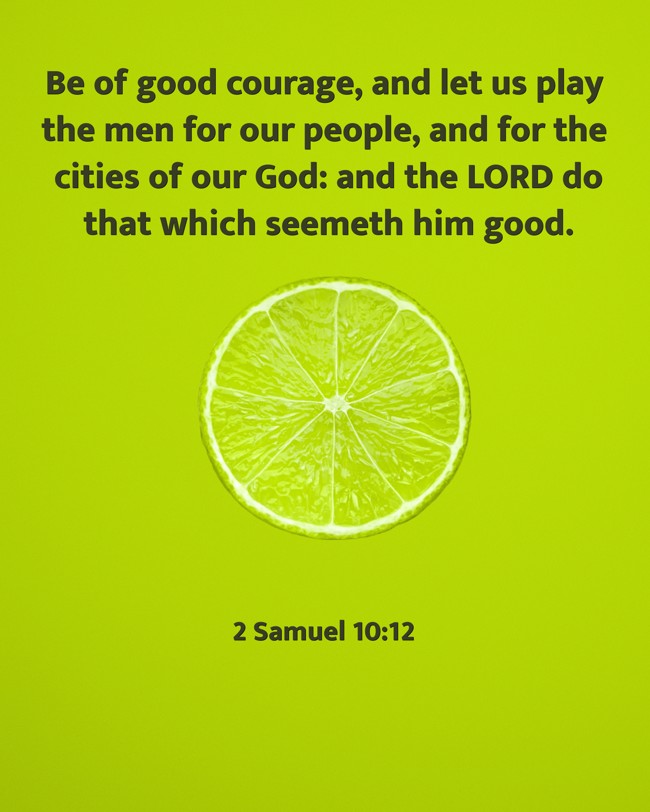 Be of good courage, and let us play the men for our people, and for the cities of our God: and the LORD do that which seemeth him good. - 2 Samuel 10:12