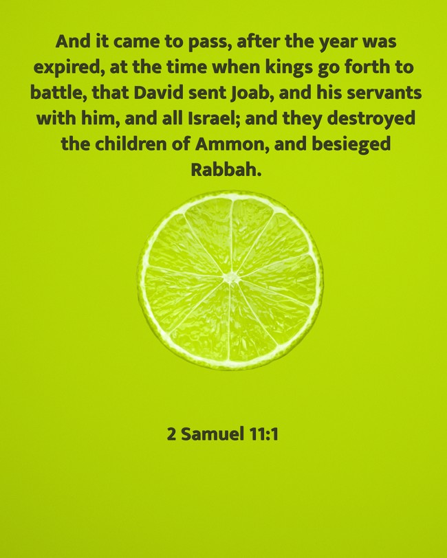 And it came to pass, after the year was expired, at the time when kings go forth to battle, that David sent Joab, and his servants with him, and all Israel; and they destroyed the children of Ammon, and besieged Rabbah. - 2 Samuel 11:1