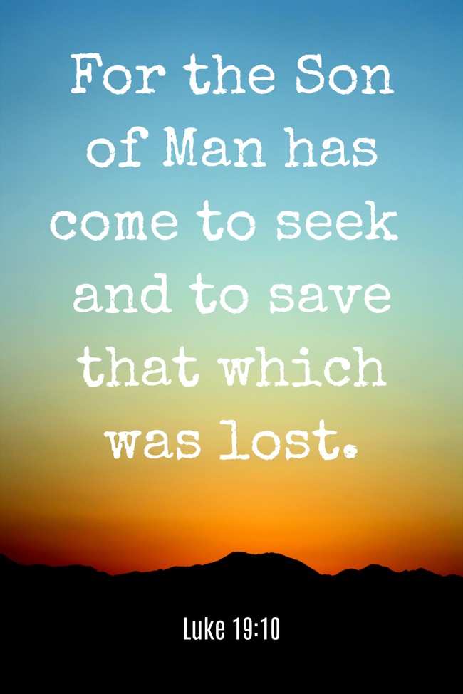For the Son of Man has come to seek and to save that which was lost. - Luke 19:10
