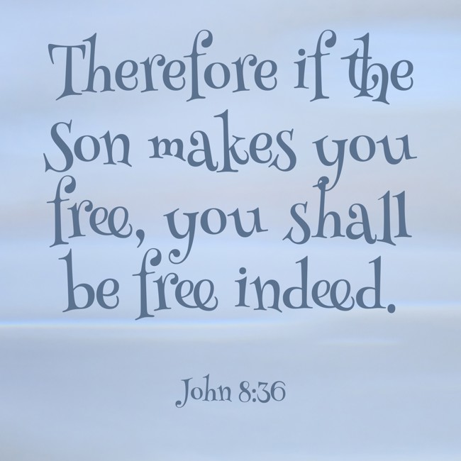 Therefore if the Son makes you free, you shall be free indeed. - John 8:36