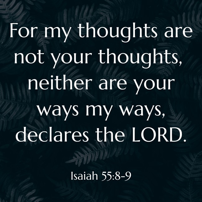 For my thoughts are not your thoughts, neither are your ways my ways, declares the LORD. - Isaiah 55:8-9