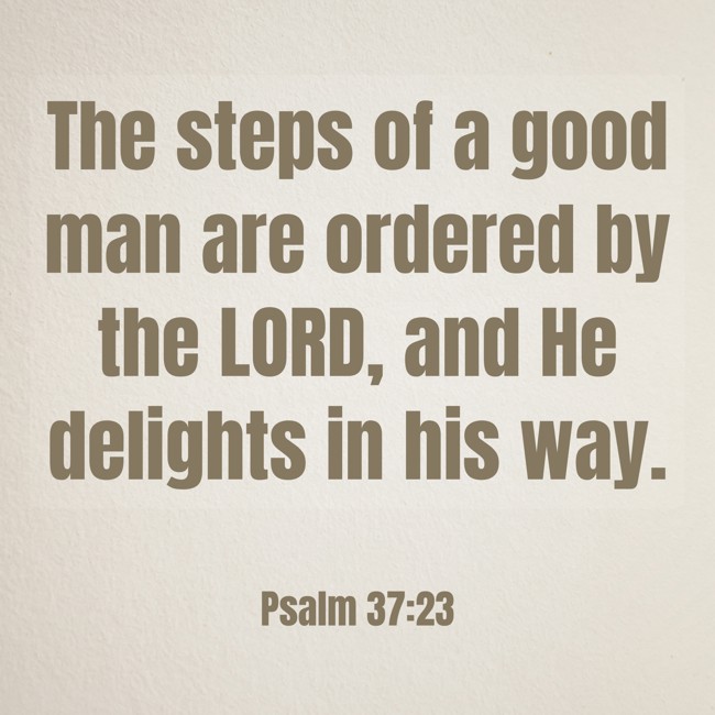 The steps of a good man are ordered by the LORD, and He delights in his way. - Psalm 37:23