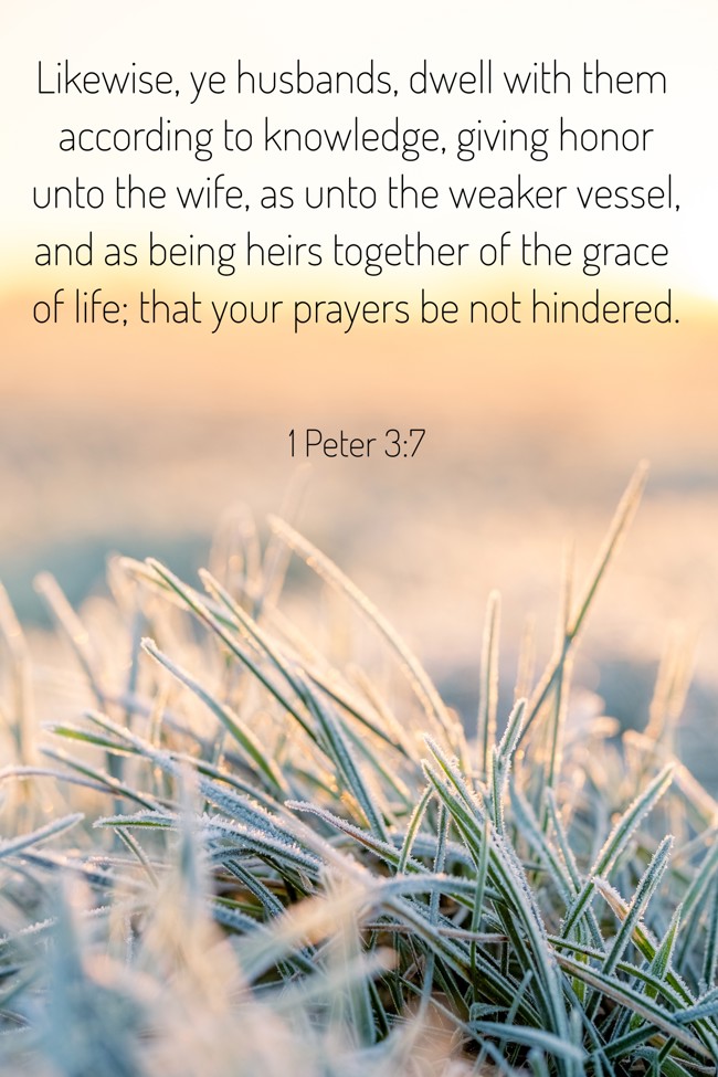 Likewise, ye husbands, dwell with them according to knowledge, giving honor unto the wife, as unto the weaker vessel, and as being heirs together of the grace of life; that your prayers be not hindered. - 1 Peter 3:7