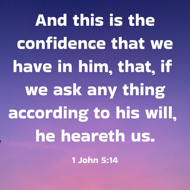 And this is the confidence that we have in him, that, if we ask any thing according to his will, he heareth us. - 1 John 5:14