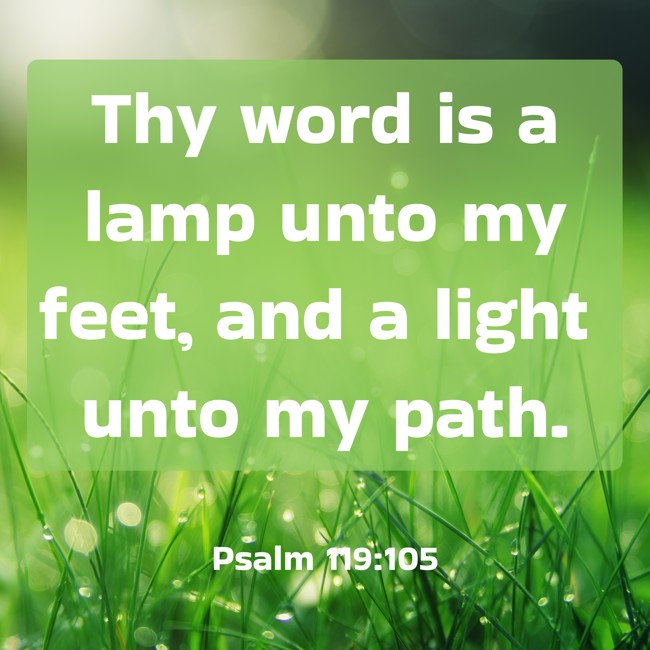 Thy word is a lamp unto my feet, and a light unto my path. - Psalm 119:105
