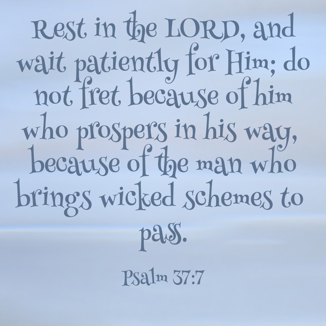 Rest in the LORD, and wait patiently for Him; do not fret because of him who prospers in his way, because of the man who brings wicked schemes to pass. - Psalm 37:7