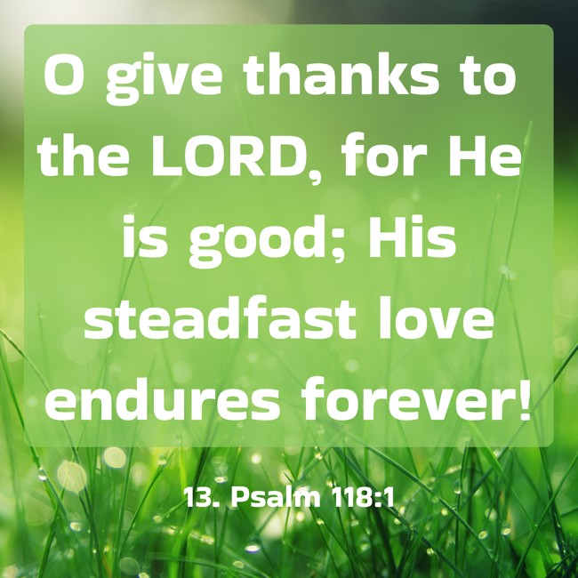 O give thanks to the LORD, for He is good; His steadfast love endures forever! - 13. Psalm 118:1
