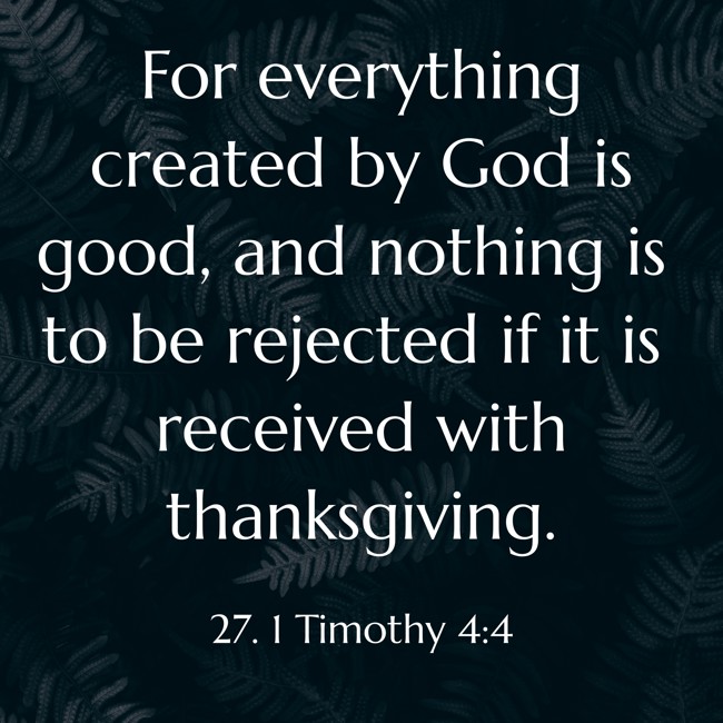 For everything created by God is good, and nothing is to be rejected if it is received with thanksgiving. - 27. 1 Timothy 4:4