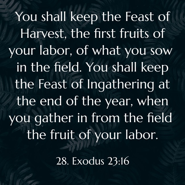 You shall keep the Feast of Harvest, the first fruits of your labor, of what you sow in the field. You shall keep the Feast of Ingathering at the end of the year, when you gather in from the field the fruit of your labor. - 28. Exodus 23:16