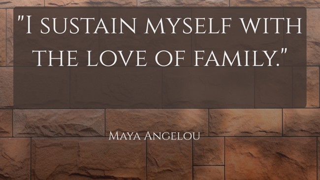 I sustain myself with the love of family. - Maya Angelou