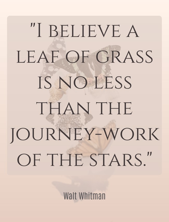 I believe a leaf of grass is no less than the journey-work of the stars. - Walt Whitman