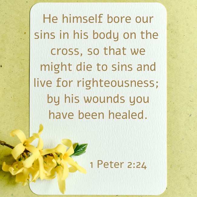 He himself bore our sins in his body on the cross, so that we might die to sins and live for righteousness; by his wounds you have been healed. - 1 Peter 2:24