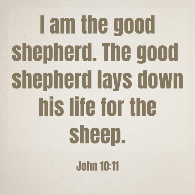 I am the good shepherd. The good shepherd lays down his life for the sheep. - John 10:11
