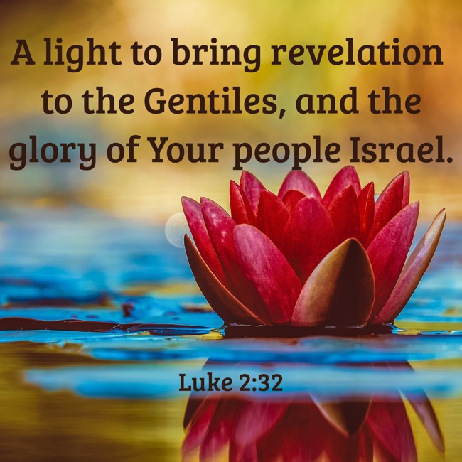  A light to bring revelation to the Gentiles, and the glory of Your people Israel.   - Luke 2:32 