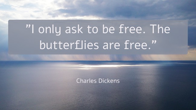  I only ask to be free. The butterflies are free.   - Charles Dickens 