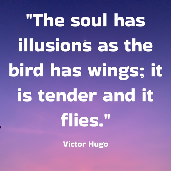  The soul has illusions as the bird has wings; it is tender and it flies.   - Victor Hugo 