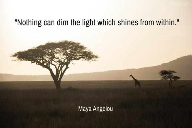  Nothing can dim the light which shines from within.   - Maya Angelou 