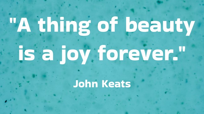  A thing of beauty is a joy forever.   - John Keats 