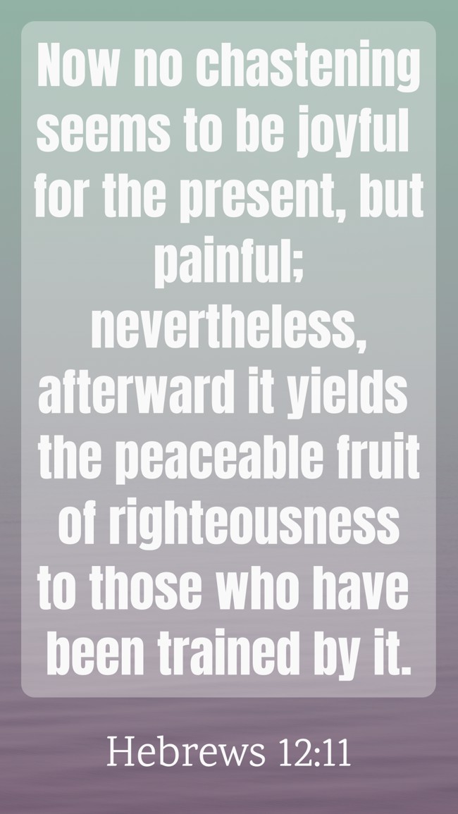 Now no chastening seems to be joyful for the present, but painful; nevertheless, afterward it yields the peaceable fruit of righteousness to those who have been trained by it. - Hebrews 12:11