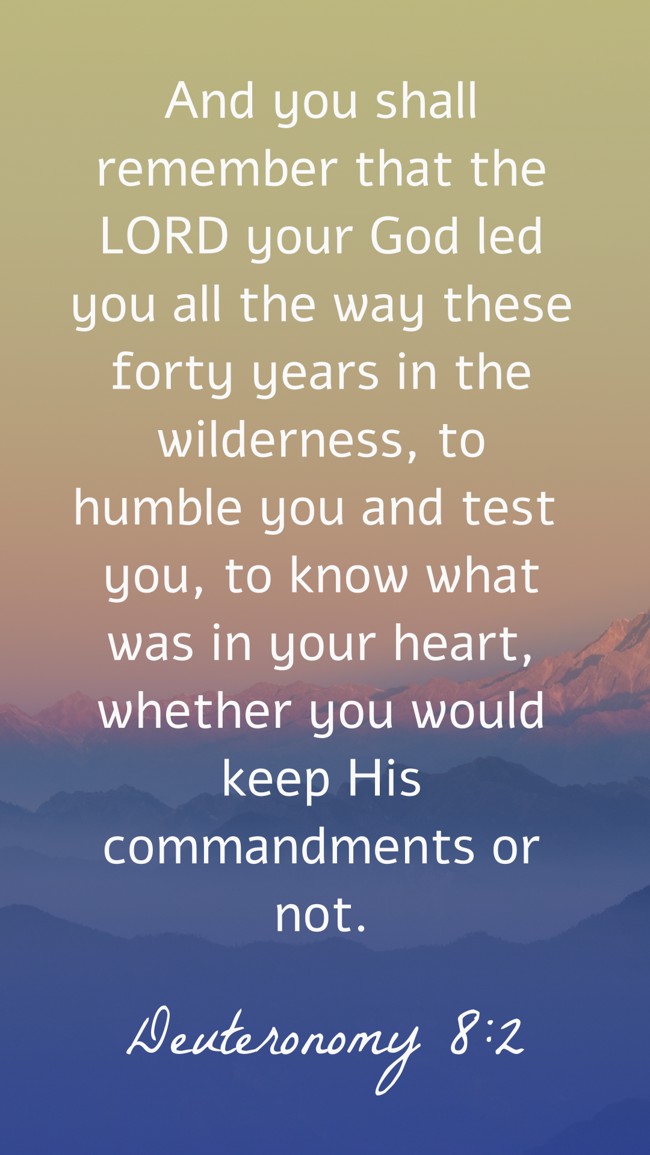  And you shall remember that the LORD your God led you all the way these forty years in the wilderness, to humble you and test you, to know what was in your heart, whether you would keep His commandments or not.   - Deuteronomy 8:2 