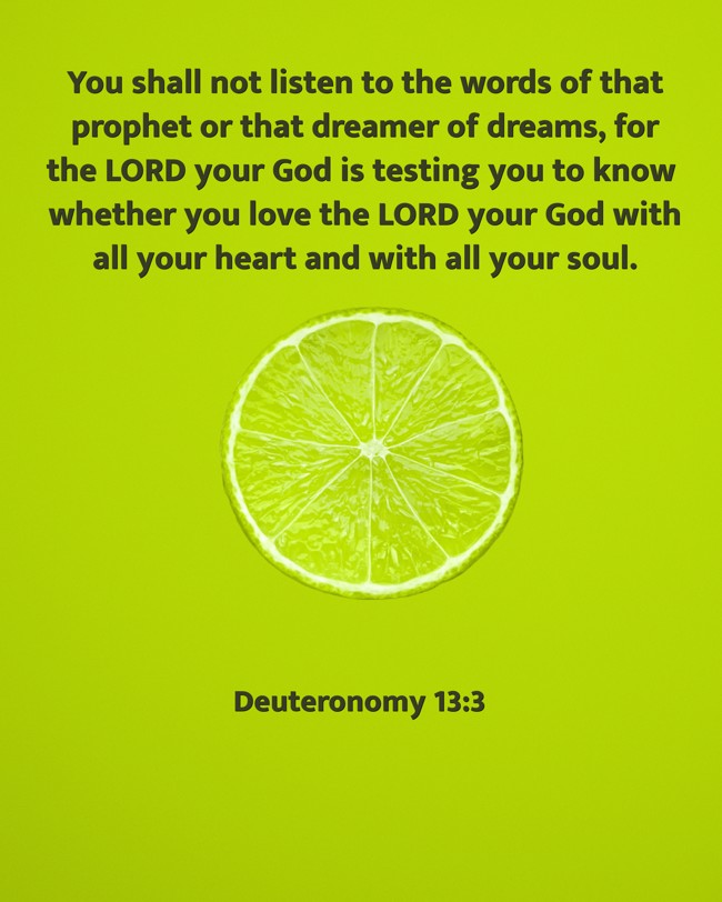  You shall not listen to the words of that prophet or that dreamer of dreams, for the LORD your God is testing you to know whether you love the LORD your God with all your heart and with all your soul.   - Deuteronomy 13:3 