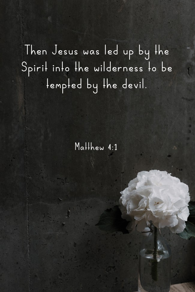  Then Jesus was led up by the Spirit into the wilderness to be tempted by the devil.   - Matthew 4:1 