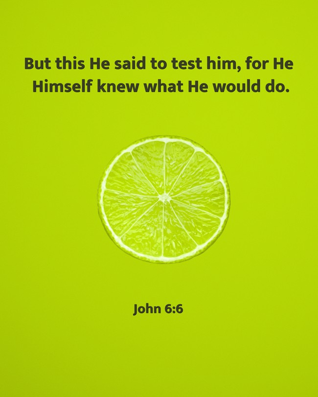  But this He said to test him, for He Himself knew what He would do.   - John 6:6 