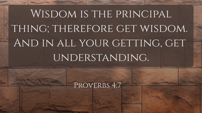 Wisdom is the principal thing; therefore get wisdom. And in all your getting, get understanding. - Proverbs 4:7