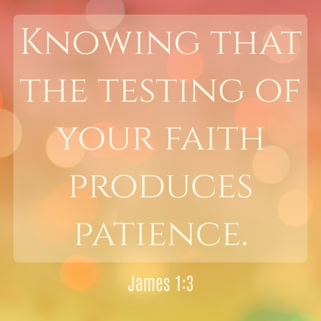  Knowing that the testing of your faith produces patience.   - James 1:3 