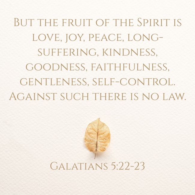 But the fruit of the Spirit is love, joy, peace, long-suffering, kindness, goodness, faithfulness, gentleness, self-control. Against such there is no law. - Galatians 5:22-23