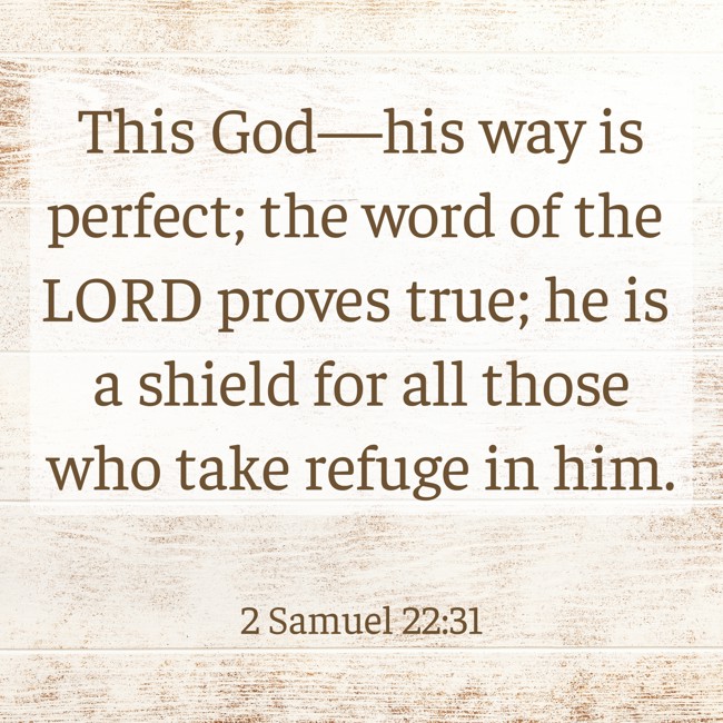 This God—his way is perfect; the word of the LORD proves true; he is a shield for all those who take refuge in him. - 2 Samuel 22:31