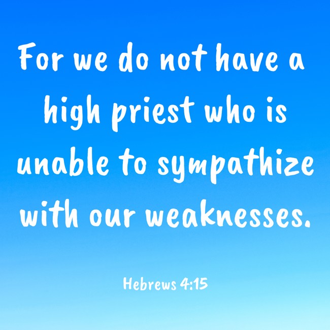 For we do not have a high priest who is unable to sympathize with our weaknesses. - Hebrews 4:15