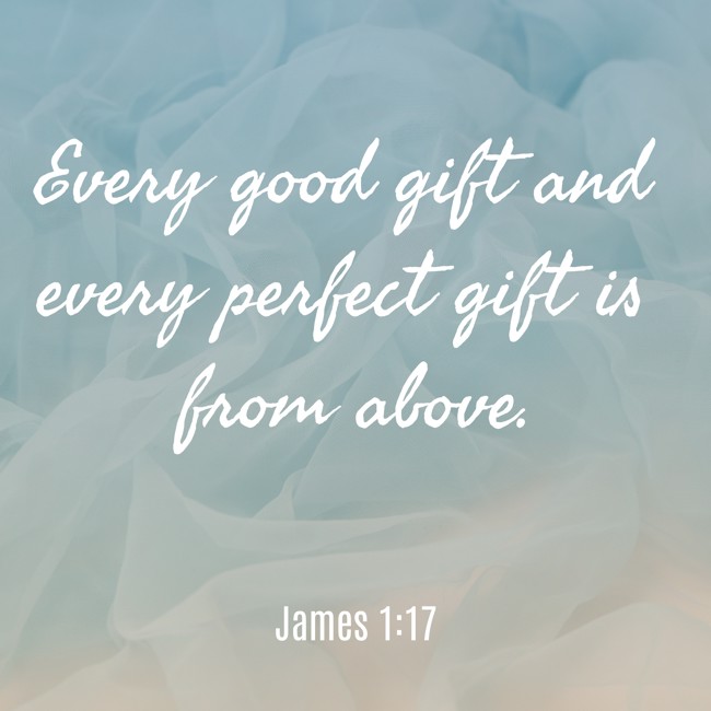 Every good gift and every perfect gift is from above. - James 1:17