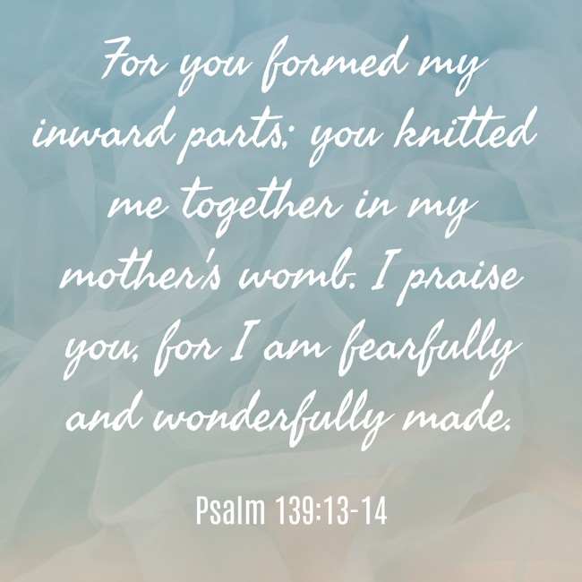 For you formed my inward parts; you knitted me together in my mother's womb. I praise you, for I am fearfully and wonderfully made. - Psalm 139:13-14
