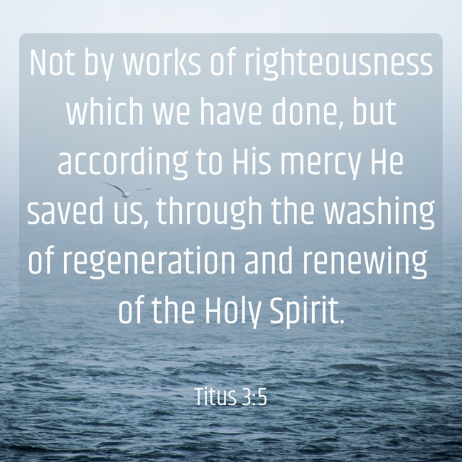  Not by works of righteousness which we have done, but according to His mercy He saved us, through the washing of regeneration and renewing of the Holy Spirit.   - Titus 3:5 