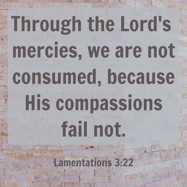  Through the Lord's mercies, we are not consumed, because His compassions fail not.   - Lamentations 3:22 