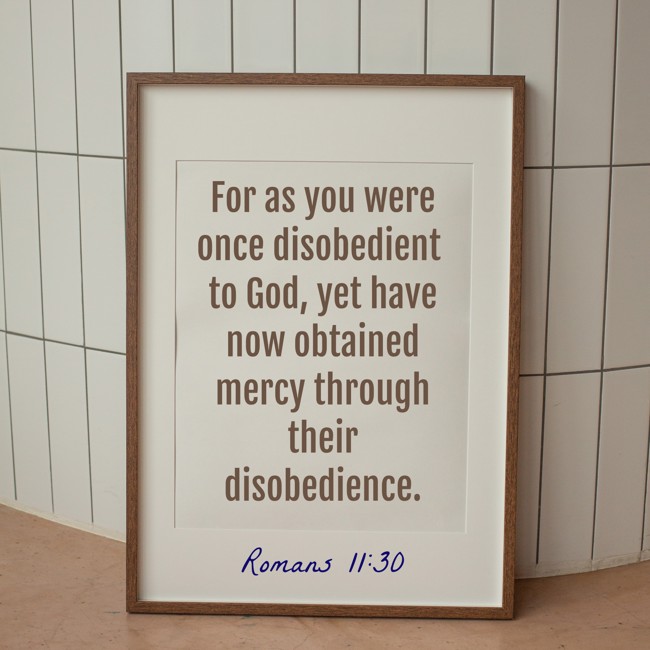  For as you were once disobedient to God, yet have now obtained mercy through their disobedience.   - Romans 11:30 