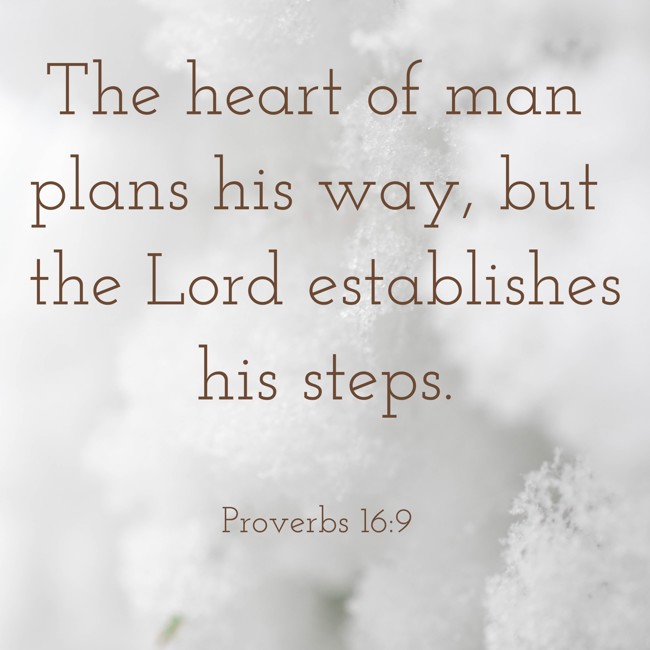 The heart of man plans his way, but the Lord establishes his steps.
- Proverbs 16:9