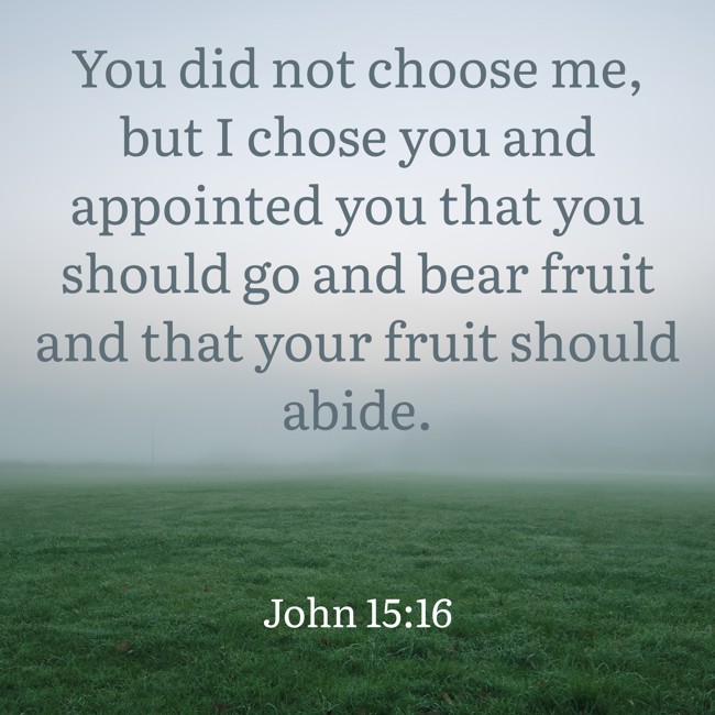 You did not choose me, but I chose you and appointed you that you should go and bear fruit and that your fruit should abide.
- John 15:16