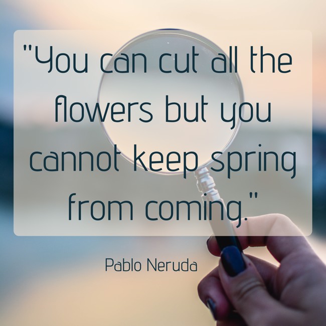 You can cut all the flowers but you cannot keep spring from coming. - Pablo Neruda