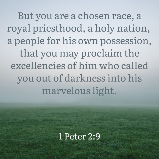 But you are a chosen race, a royal priesthood, a holy nation, a people for his own possession, that you may proclaim the excellencies of him who called you out of darkness into his marvelous light.
- 1 Peter 2:9